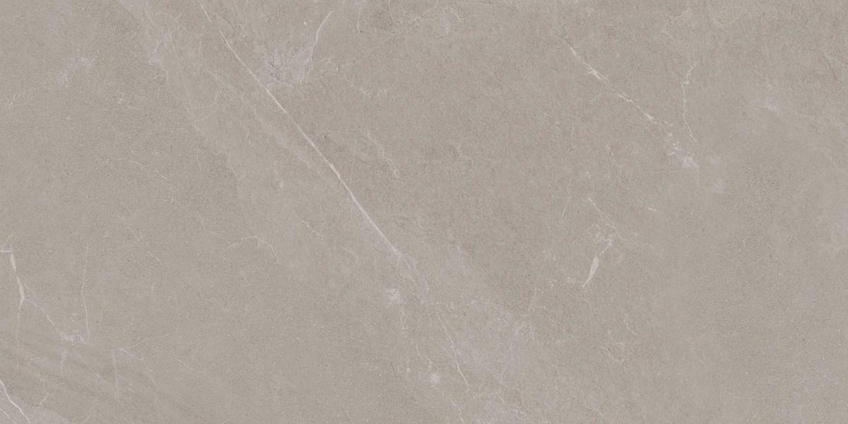 Gres ANGERS TAUPE 60x120