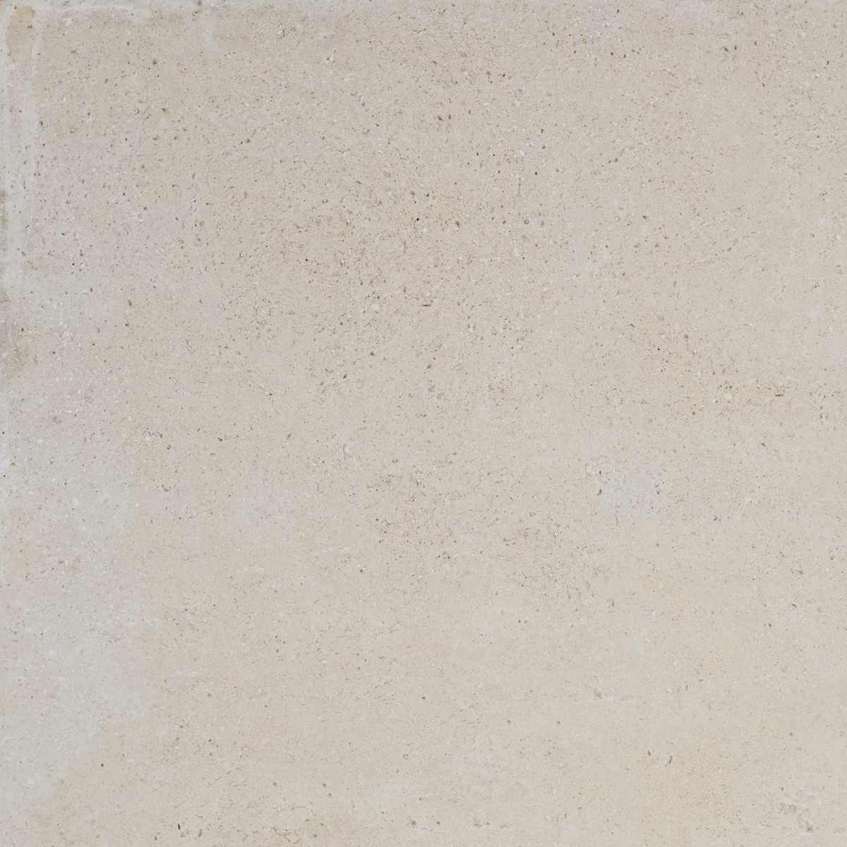 Darmowa próbka 20x30 - Gres TERRAMAR BONE 60x60 (1)
