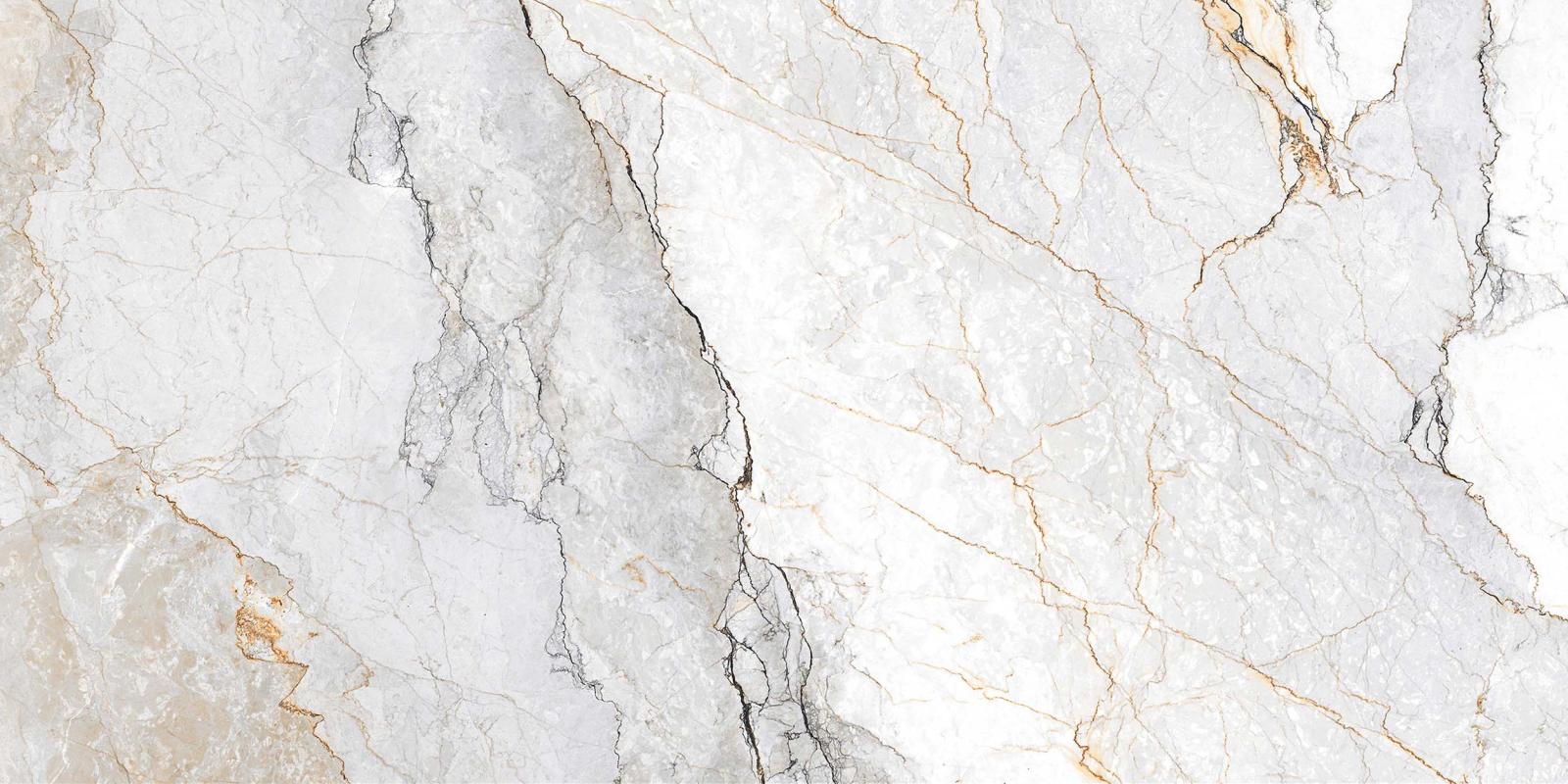 Gres BELLUNO WHITE CARVING 60x120