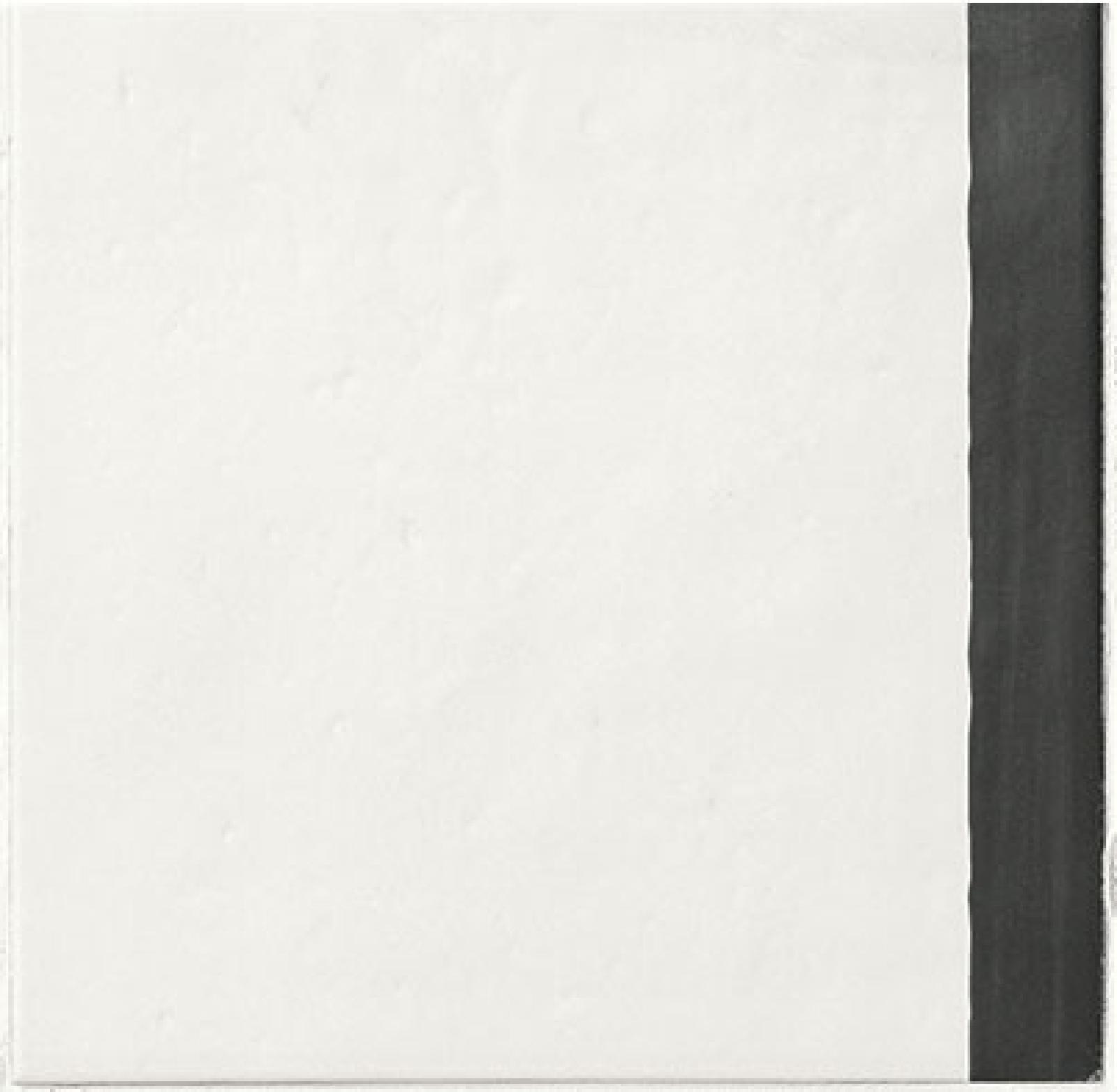 Gres ESENCIA MATERIAL BORDER 20x20