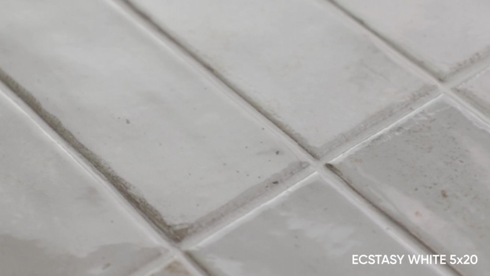 Płytka ścienna ECSTASY WHITE 5x20 (4)
