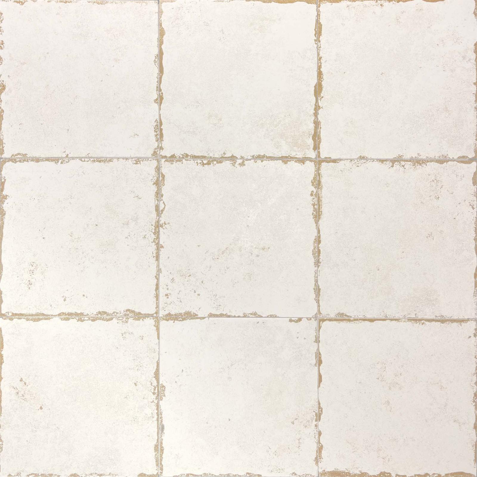 Gres ANTIGA BLANCO 20X20 (3)