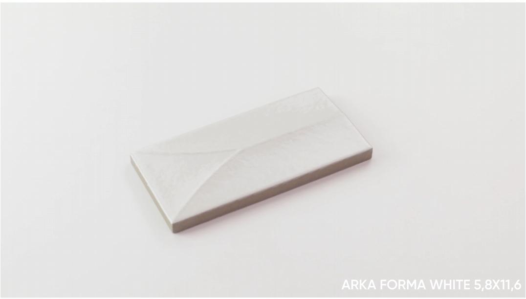 Gres ARKA FORMA WHITE 5,8X11,6 (4)