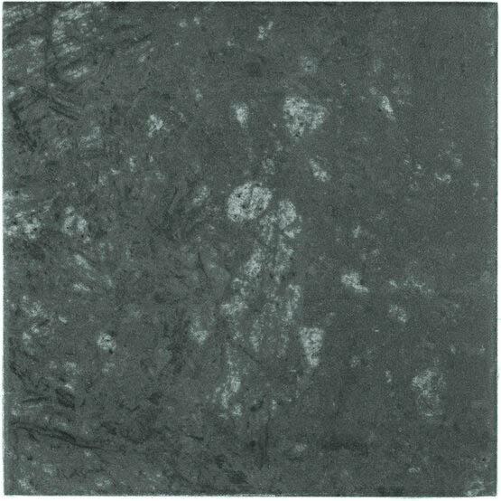 Obrazek dla: Gres SELVA 15x15