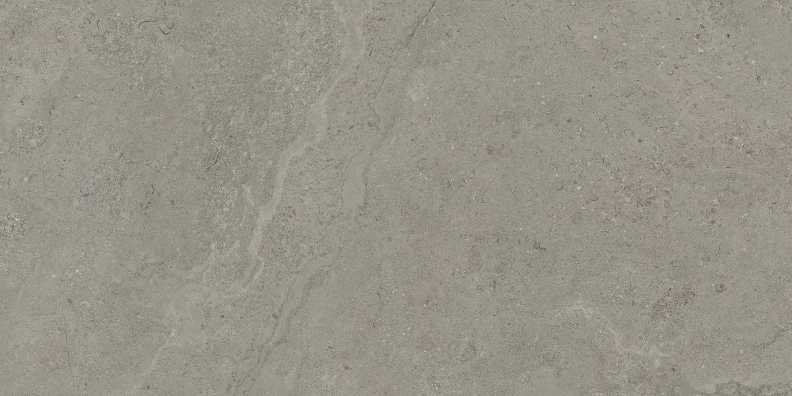 Obrazek dla: Gres DORSET GREIGE MAT 60x120