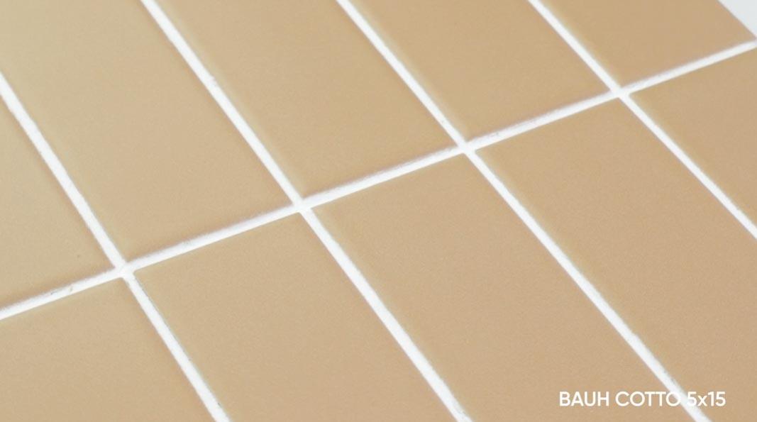 Gres BAUH COTTO MATT 5x15 (6)