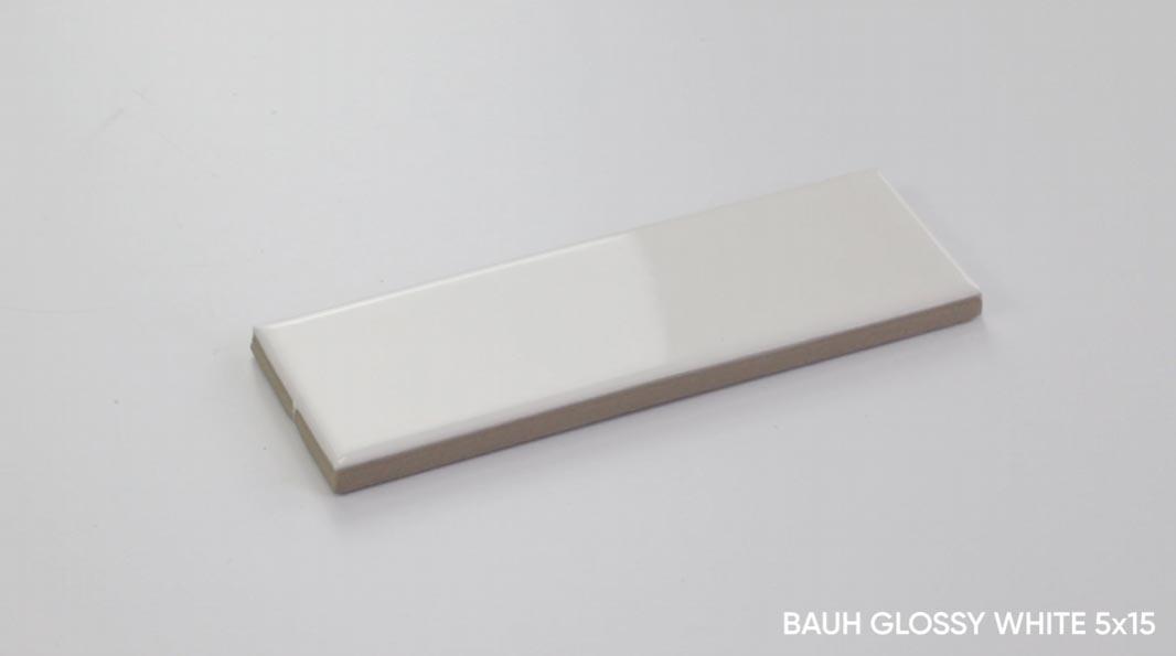 Gres BAUH WHITE GLOSS 5x15 (4)