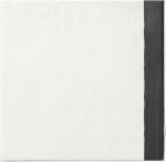 Gres ESENCIA MATERIAL BORDER 20x20