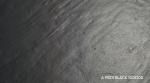 Gres A PIEDI BLACK 100x100