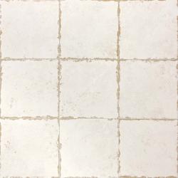 mini: Gres ANTIGA BLANCO 20X20 (3)