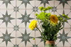 mini: Gres FS STARLIGHT SAGE LT 22,3x22,3 (3)