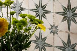 mini: Gres FS STARLIGHT SAGE LT 22,3x22,3 (4)