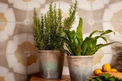 mini: Terakota FS FARFALLA MUSTARD 45x45 (4)