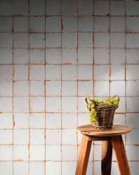 mini: Terakota FS SALERNO LT 33x33 (2)