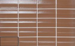 mini: Gres ARKA ONA COTTO 5,8X11,6 (3)