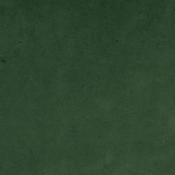 mini: Gres SAMIRA GREEN 10x10 (1)