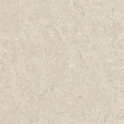 mini: Gres CUPOLA BONE 60x60 (1)