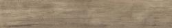 mini: Gres ARKE TORTORA 20x120 (1)