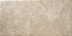 mini: Gres SAAMI BEIGE 20x40 (1)