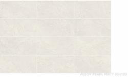 mini: Gres ALLOY PEARL MATT 60x120 (7)