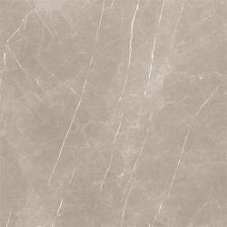 mini: Gres ETERNAL TAUPE NATURAL 120x120 (1)