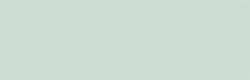 mini: Gres BAUH SAGE MATT 5x15 (1)