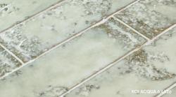 mini: Płytka ścienna KOI ACQUA 6,4x26 (6)