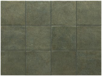 Obrazek dla: Gres STAGE FOREST MATT 10x10