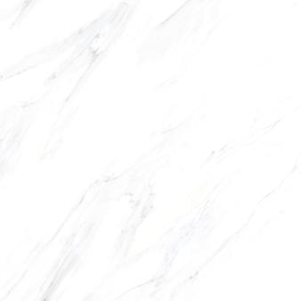 Obrazek dla: Gres EVORA WHITE CARVING 60x60