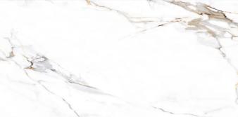 Obrazek dla: Gres VERONA WHITE POLISHED 60x120