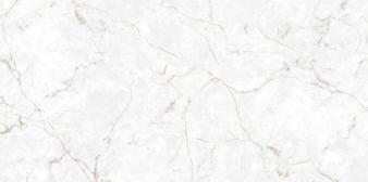 Obrazek 2 dla: Gres TULUZA WHITE CARVING 60x120