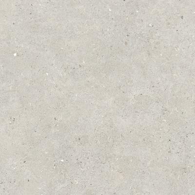 Obrazek dla: Gres SOMPORT LIGHT 60x60
