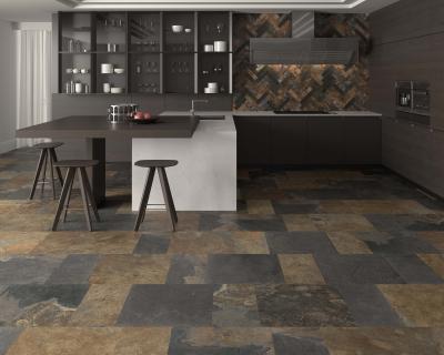Obrazek 2 dla: Gres ARDESIA MULTICOLORE 60X60