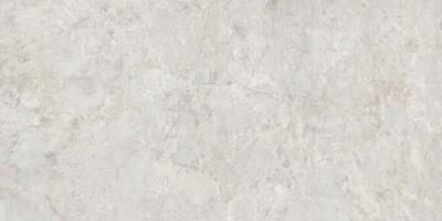 Obrazek dla: Gres AMAZONITE PEARL SATIN 60X120