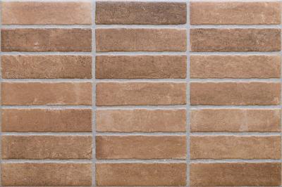 Obrazek dla: Gres EVORA CALDERA 40x60