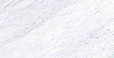 Obrazek dla: Gres MAJESTIC BLANCO BARGA 60x120