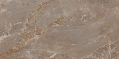 Obrazek dla: Gres GENESIS TAUPE 60x120