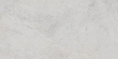 Obrazek dla: Gres basenowy PALMSPRING WHITE 30,3x61,3