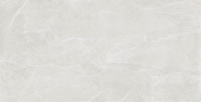 Obrazek dla: Gres EROCK SILVER 60x120