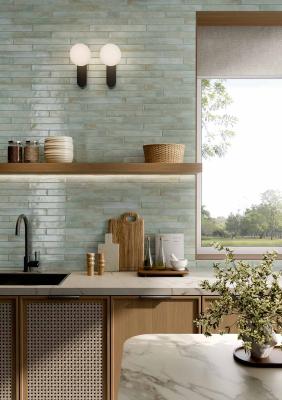 Obrazek 2 dla: Gres LIFE TURQUOISE 4,8x45