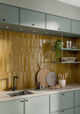 Obrazek 2 dla: Gres LIFE DIJON 4,8x45