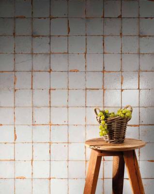 Obrazek 2 dla: Terakota FS SALERNO LT 33x33