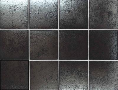 Obrazek 2 dla: Gres ARKA SILVER 11,6x11,6