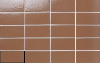 Obrazek 2 dla: Gres ARKA COTTO 5,8X11,6