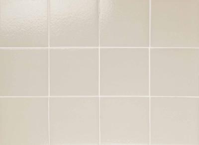 Obrazek 2 dla: Gres ARKA BONE 11,6x11,6