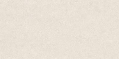 Obrazek dla: Gres IWA STRU WHITE 60x120