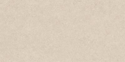 Obrazek dla: Gres IWA STRU BONE 60x120