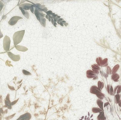 Obrazek dla: Gres MAYOLICA FOREST 15x15