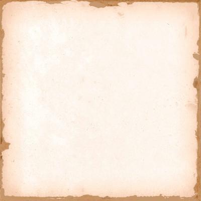 Obrazek dla: Gres CASABLANCA WHITE 12,5x12,5