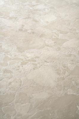 Obrazek 2 dla: Gres LEVANTE GREIGE LIGHT 120x120